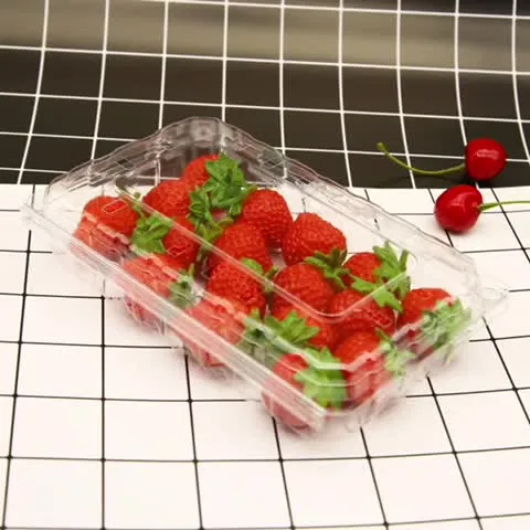Factory Price Disposable Plastic Clear 250g Fruit Punnet 