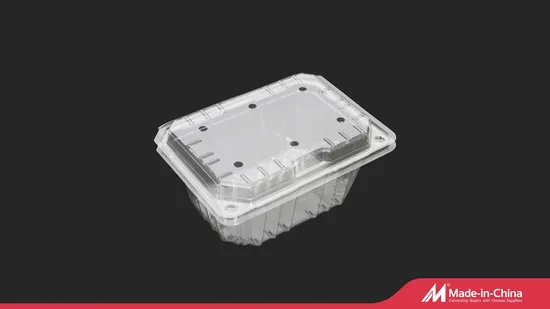 whole sale plastic PET food punnets for fruits 