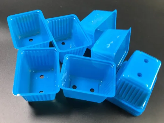 disposable  RPET blue herbs punnets with logo 